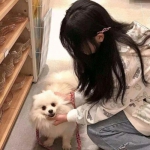 口袋之旅h5在线玩下载