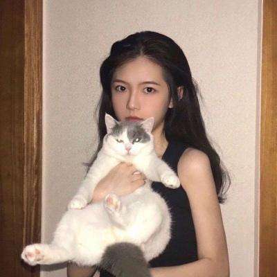 快乐功夫官方版下载